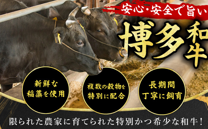 博多和牛 シャトーブリアン ステーキ 牛肉 国産牛