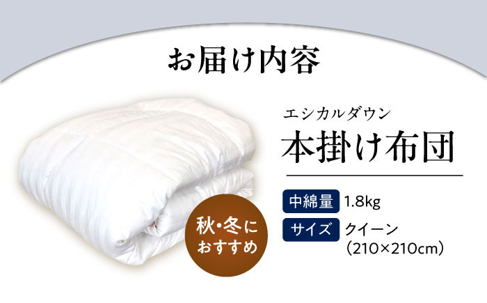 世界初特許取得! 洗える 羽毛布団 日本製 クイーン 掛け布団 ふとん 寝具