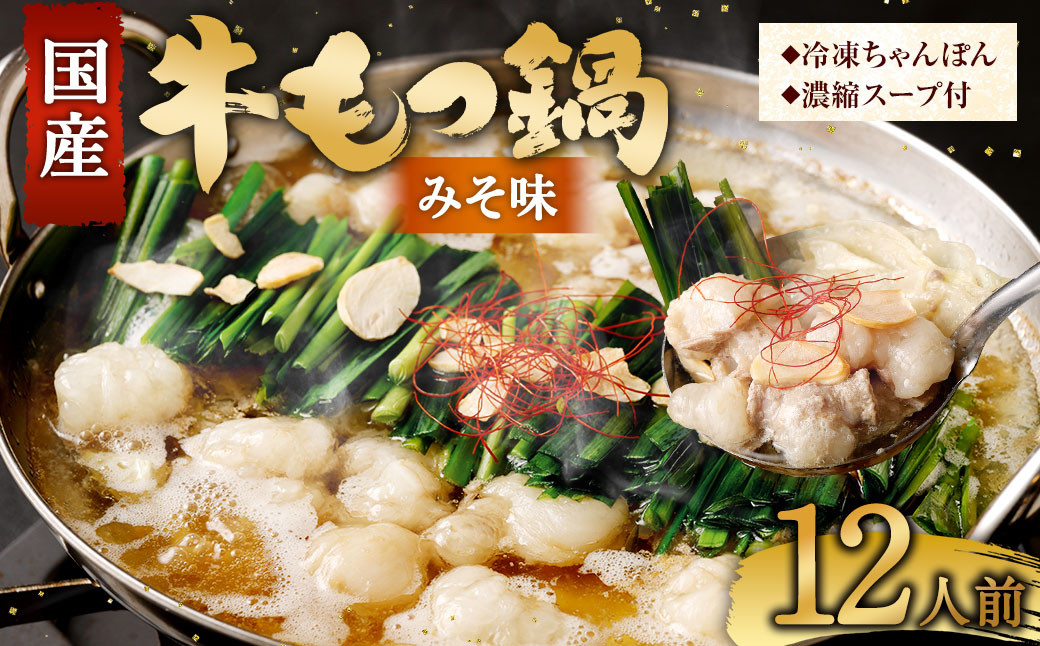 国産牛 もつ鍋 12人前 ちゃんぽん 濃縮スープ付 （みそ味）