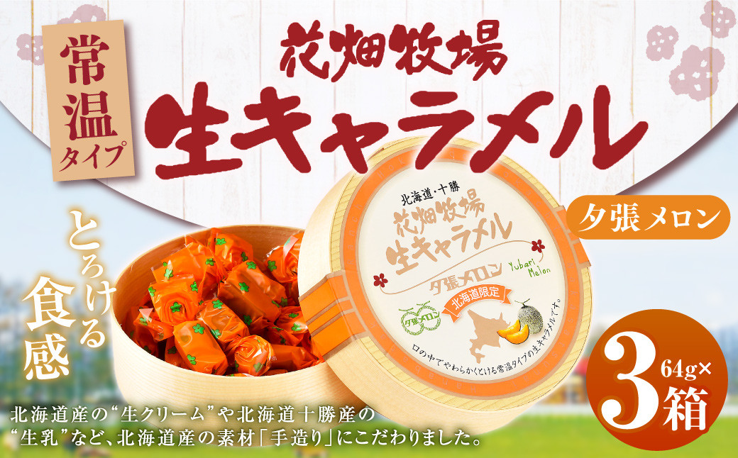 花畑牧場 生キャラメル 夕張メロン（常温） 64g×3セット