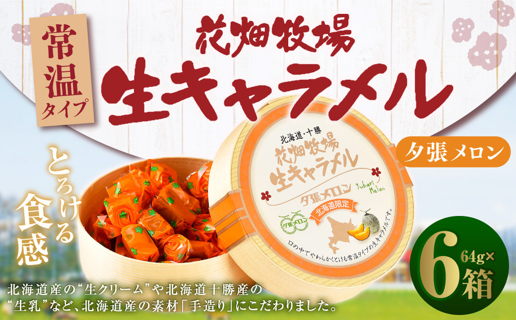 花畑牧場 生キャラメル 夕張メロン（常温） 64g×6セット