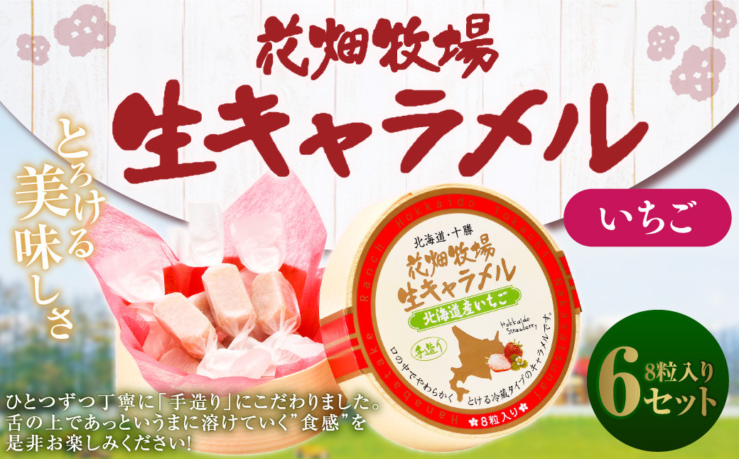 花畑牧場 生キャラメル 北海道産いちご 8粒入り×6セット