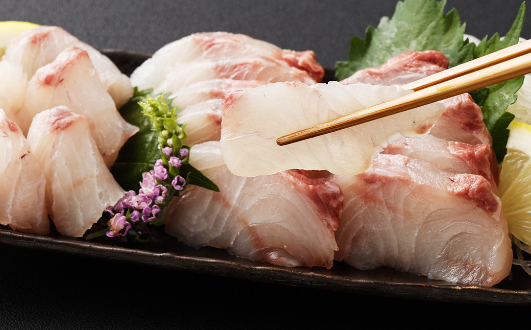 【指定日必須】黄金ひらまさ(養殖ひらまさ・1尾 約4kg～5kg)