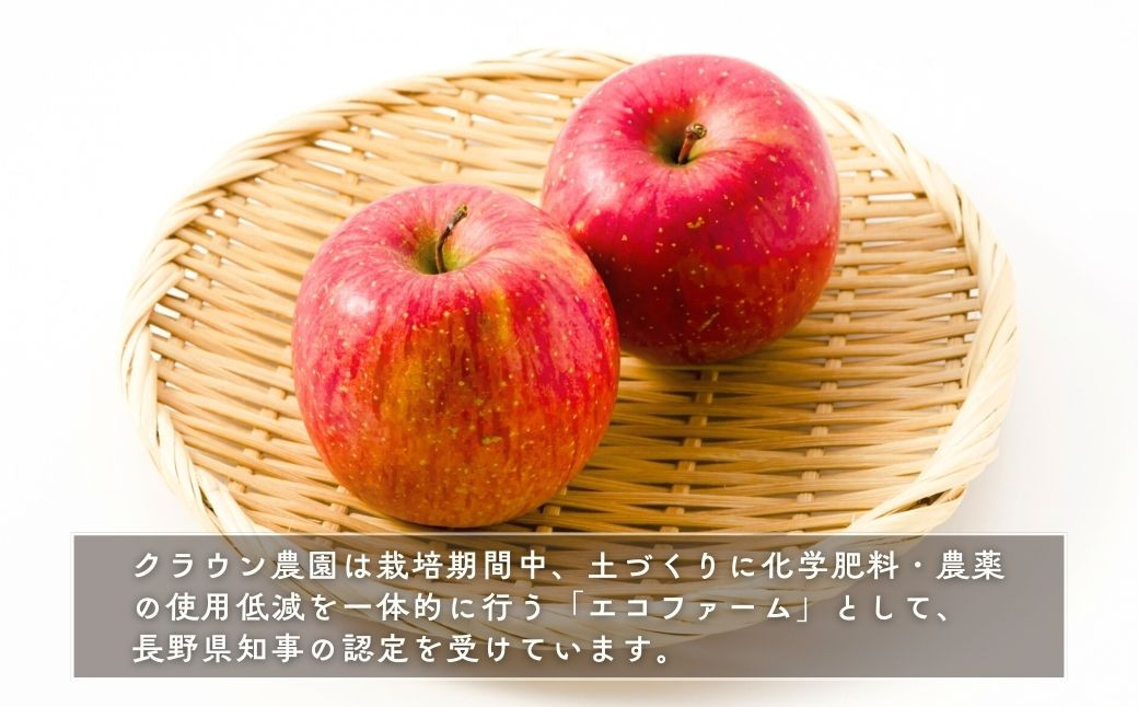 訳あり りんご 園主におまかせ 詰合せ 計約3kg（8~11玉）