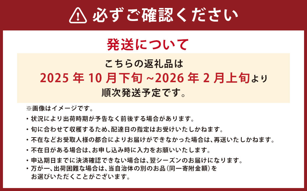 高級 三つ星 至高のフルーツトマト pomodia ポモディア 約1.2kg(24~35個)
