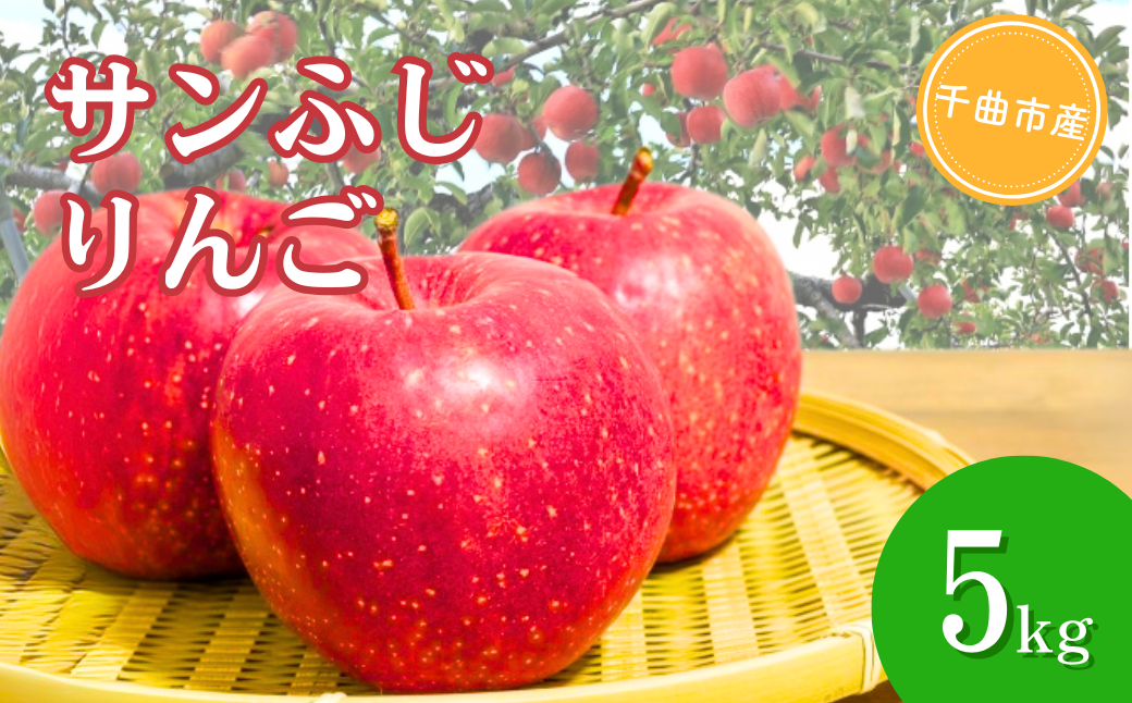 りんご サンふじ  約5kg 