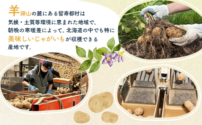 新じゃがいも（キタアカリ） 5kg