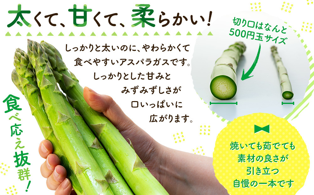 500円玉くらの大きさ！極太なのに甘くて柔らかい！