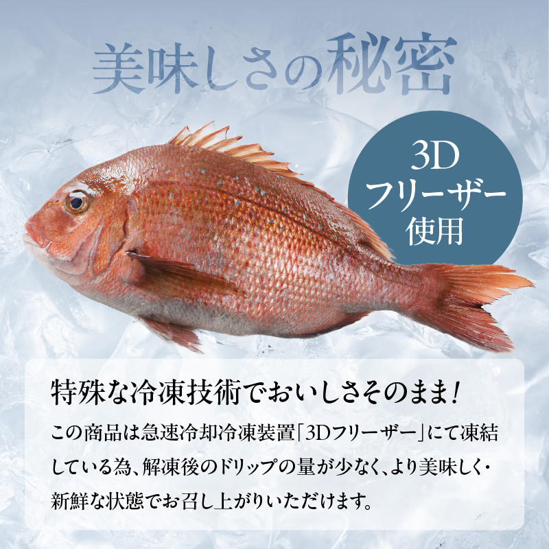 穂州鯛 真鯛のカルパッチョ 5食 