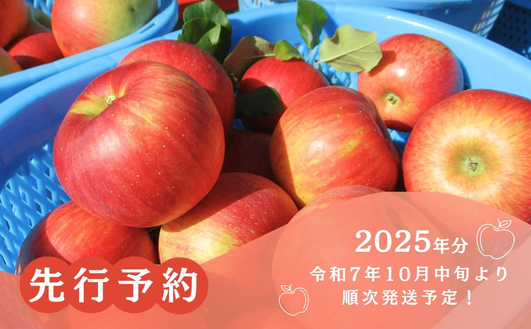 訳あり りんご 園主におまかせ 詰合せ 計約3kg（8~11玉）