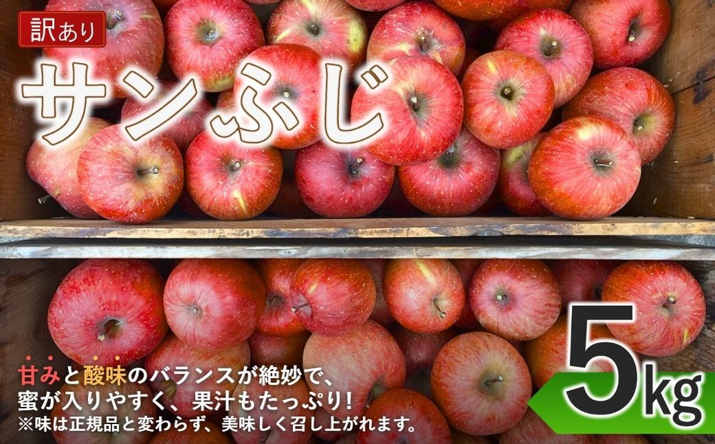 訳あり りんご サンふじ 家庭用 約5kg