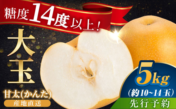 ※画像はイメージです