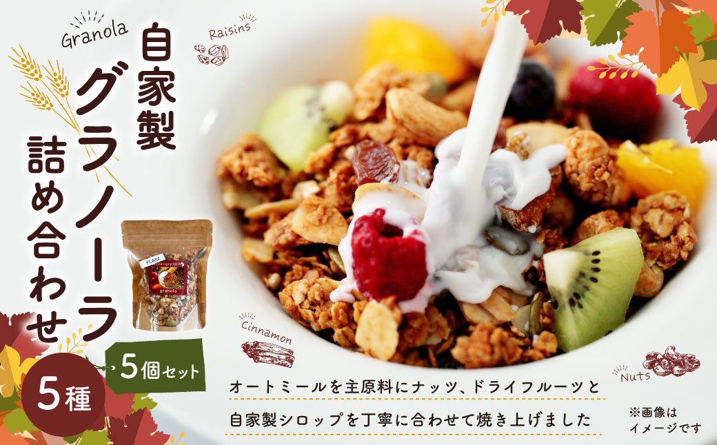 自家製グラノーラ 5種 詰め合わせ | グラノーラ  オートミール シリアル 朝食 おやつ お菓子 スイーツ セット