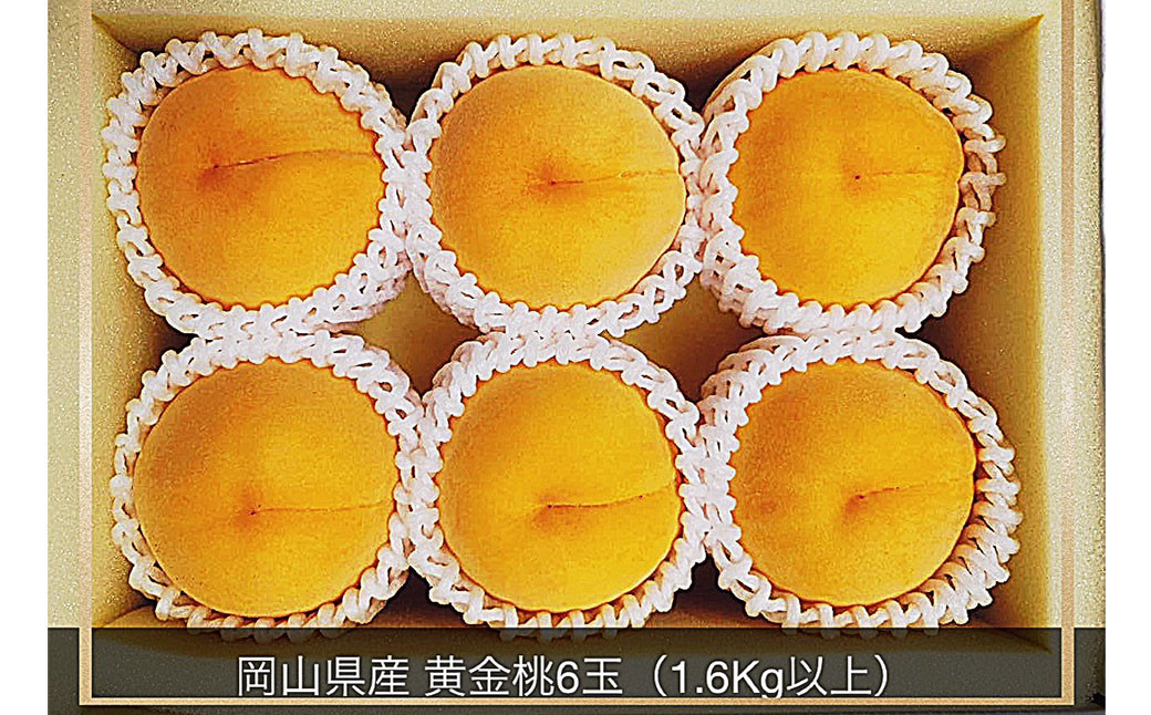 黄金桃 6玉（1.6kg以上） 化粧箱入り