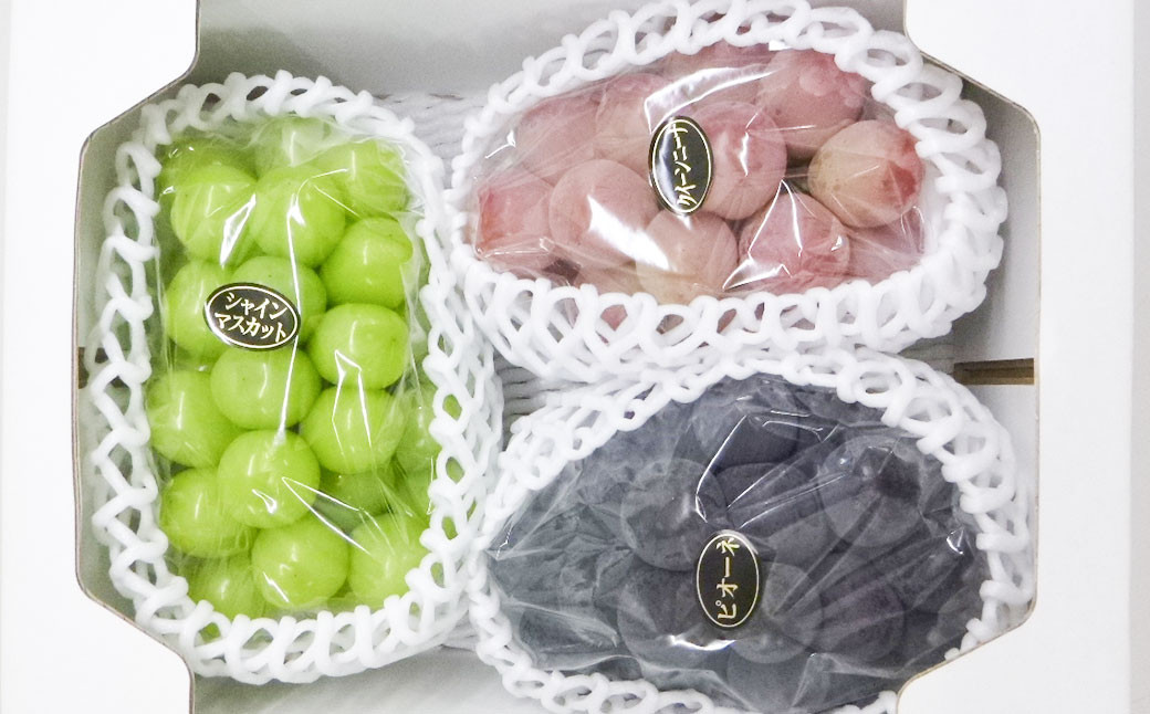 大粒 ぶどう 3種 セット 3房 計約2kg シャインマスカット ピオーネ クイーンニーナ 