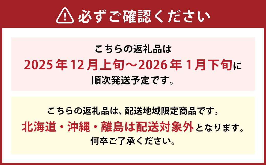 博多あまおう(冬)4パック