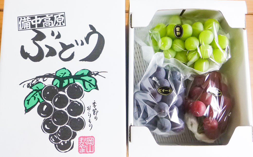 訳あり 大粒 ぶどう 3種 セット 3～4房 計約1.8kg シャインマスカット・ピオーネ等 おまかせ