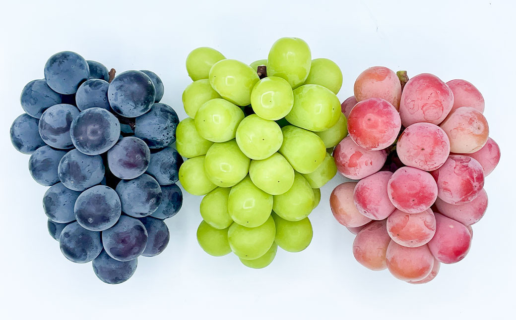 大粒 ぶどう 3種 セット 3房 計約2kg シャインマスカット ピオーネ クイーンニーナ 
