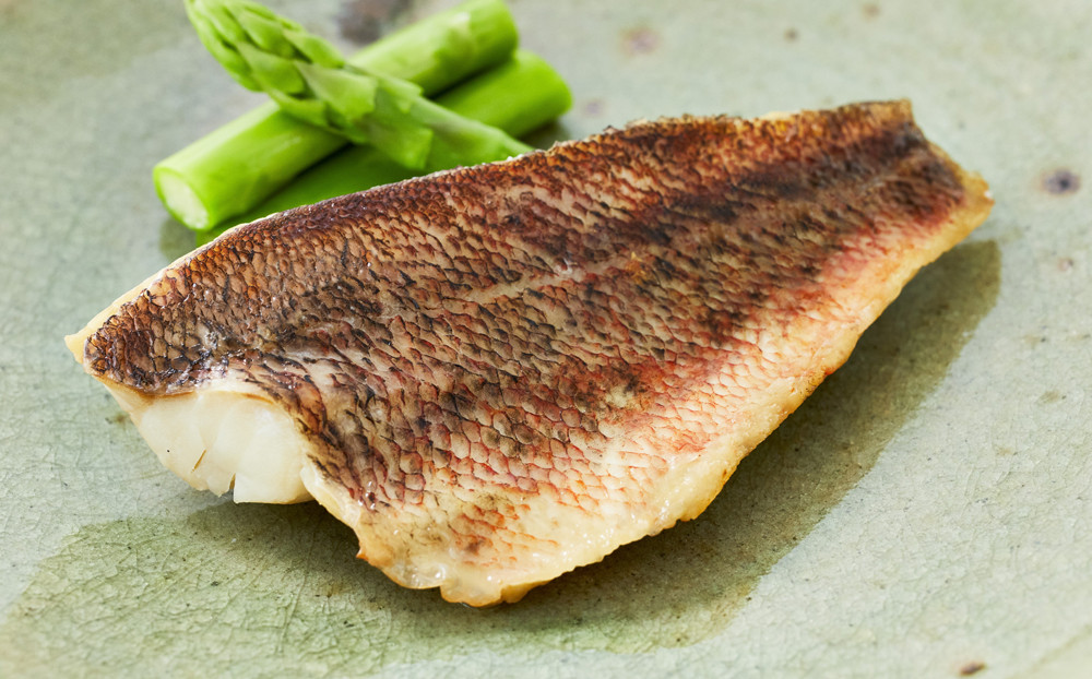 【メバルだし焼き】おだしが香る焼き魚はお酒のお供にもおすすめです。