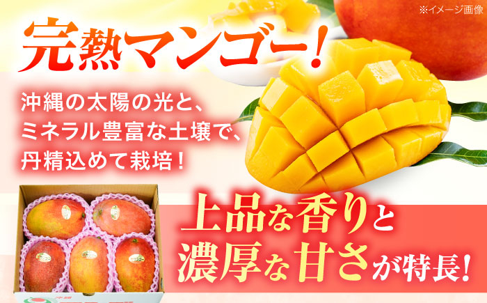 【 2026年発送 先行予約 】訳あり 完熟マンゴー 約3kg (約1.5kg (3〜6玉) ×2箱) マンゴー 2026