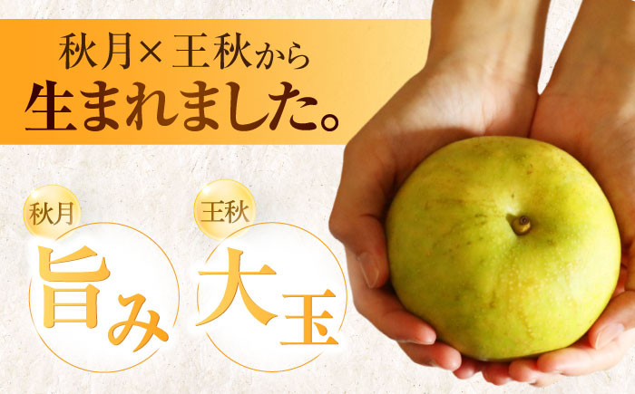 ※画像はイメージです