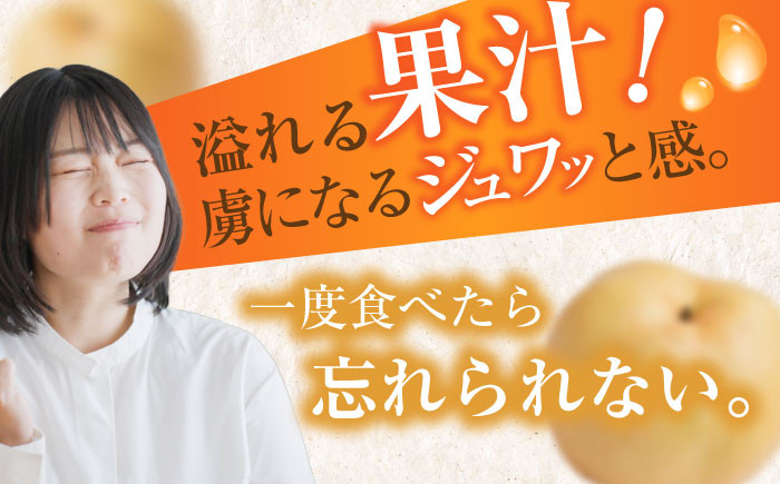 ※画像はイメージです
