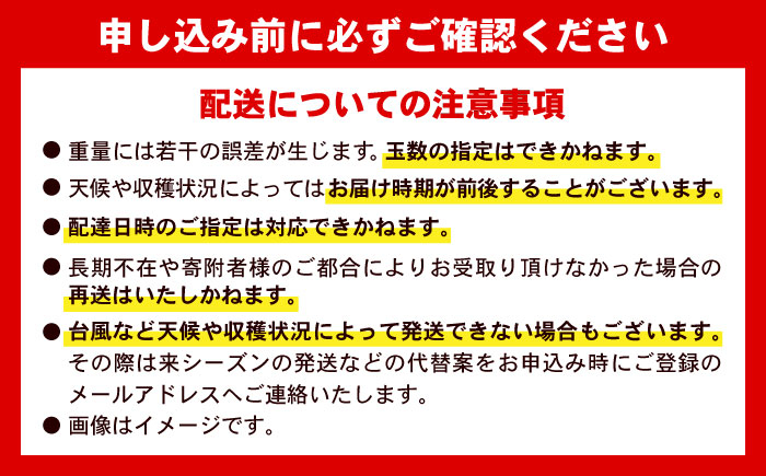 【 2026年発送 先行予約 】訳あり 完熟マンゴー 約2kg (4〜6玉入) マンゴー 2026 訳あり 沖縄 マンゴー