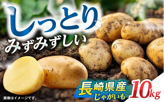 食品 やさい 野菜 サラダ 旬 甘い じゃがいも ジャガイモ いも イモ 芋 馬鈴薯 ばれいしょ 10kg 季節限定 産地直送