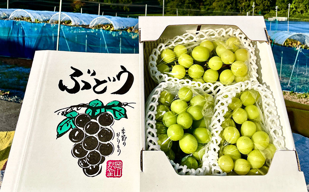 訳あり シャインマスカット 2~4房 計約1.5kg ご家庭用