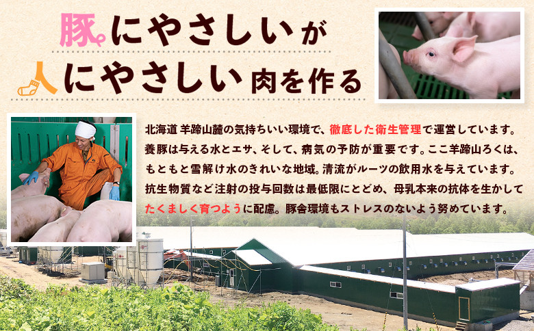 留寿都産 ルスツ羊蹄ぶた 徳用こま切れ肉 【1.6kg】