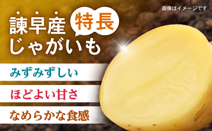 食品 やさい 野菜 サラダ 旬 甘い じゃがいも ジャガイモ いも イモ 芋 馬鈴薯 ばれいしょ 10kg 季節限定 産地直送