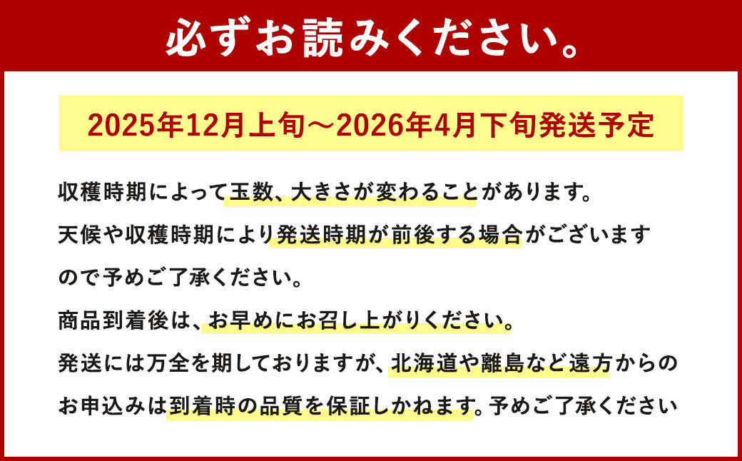 相良村産 いちご「ゆうべに」 250g×6パック