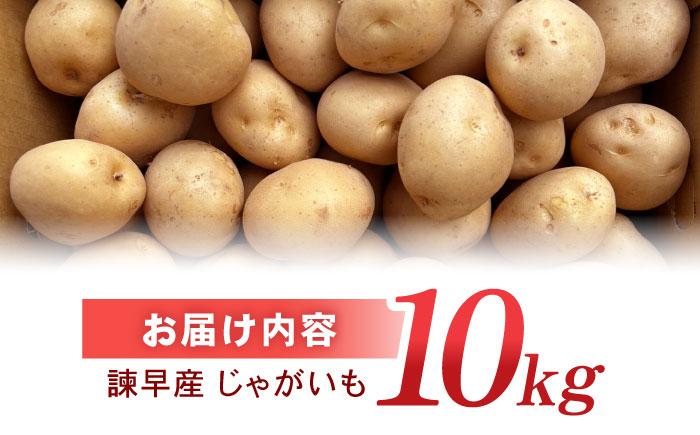 食品 やさい 野菜 サラダ 旬 甘い じゃがいも ジャガイモ いも イモ 芋 馬鈴薯 ばれいしょ 10kg 季節限定 産地直送