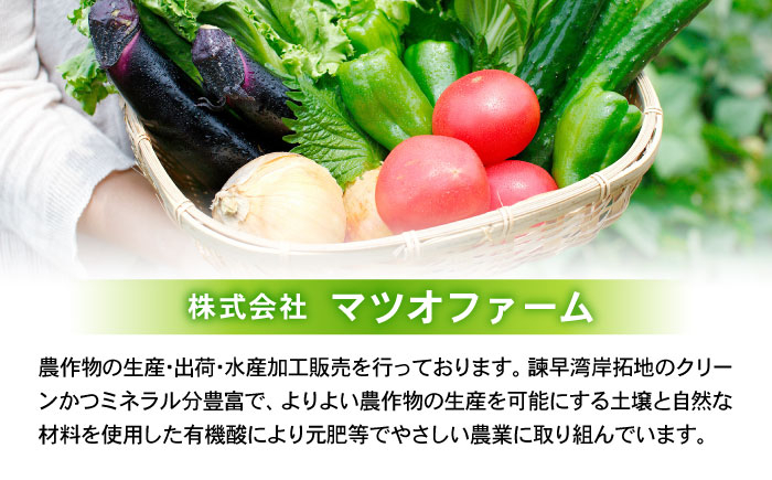 食品 やさい 野菜 サラダ 旬 甘い じゃがいも ジャガイモ いも イモ 芋 馬鈴薯 ばれいしょ 10kg 季節限定 産地直送