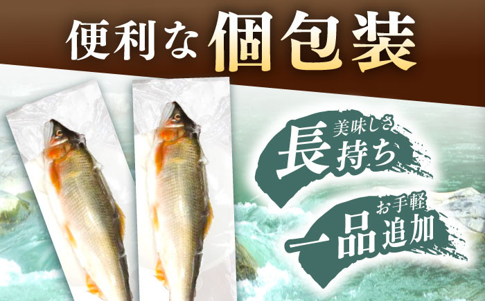 天然あゆ 冷凍 付知川 鮎 魚介 お取り寄せ 魚 天然鮎 清流 通年受付 川魚 贈答 ギフト おすすめ 人気 岐阜県 恵那市