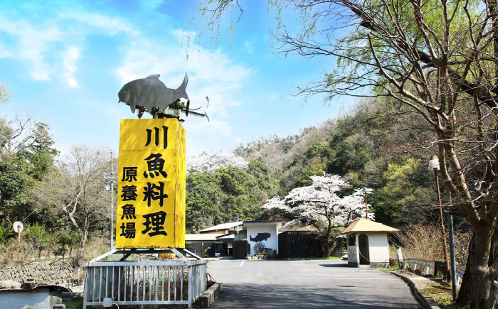 旅行 食事券 チケット レストラン ランチ ディナー 川魚 ギフト プレゼント 川魚料理 食事チケット ランチ券 ディナー券