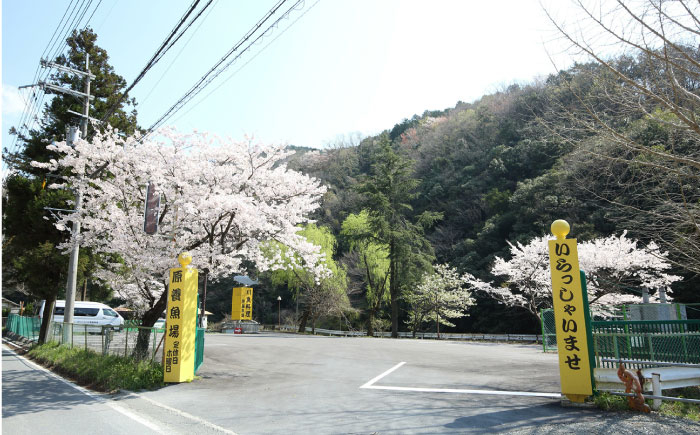 旅行 食事券 チケット レストラン ランチ ディナー 川魚 ギフト プレゼント 川魚料理 食事チケット ランチ券 ディナー券
