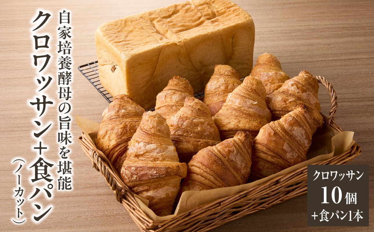自家培養酵母の旨味を堪能♪クロワッサン１０個＋食パン1本（ノーカット）