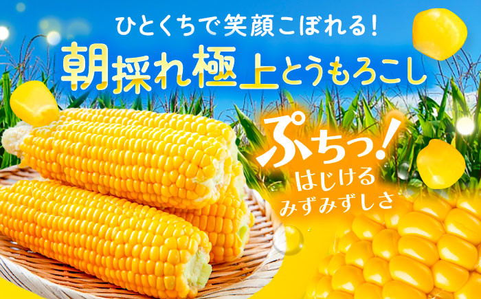トウモロコシ とうもろこし ジャガイモ じゃがいも 食べ比べ 定期便 北海道