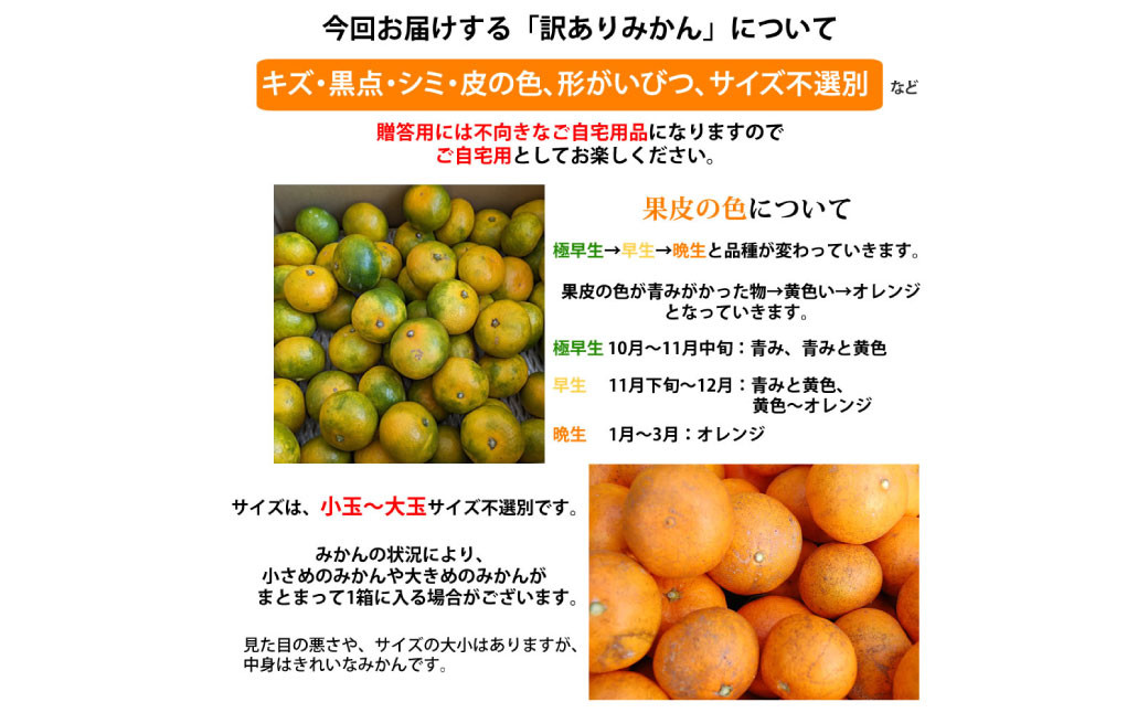 訳ありみかん 約5kg