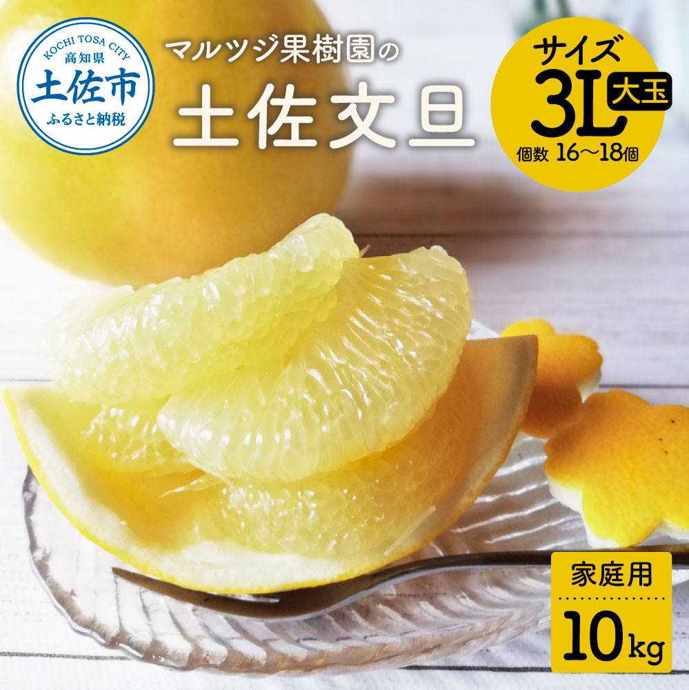 土佐文旦 家庭用 約10キロ