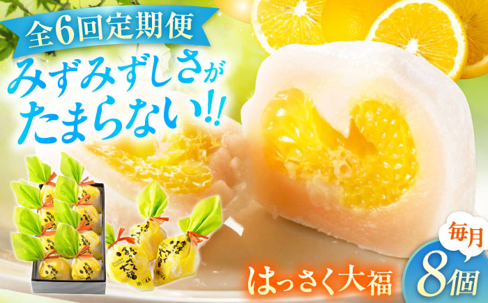 お菓子 はっさく大福