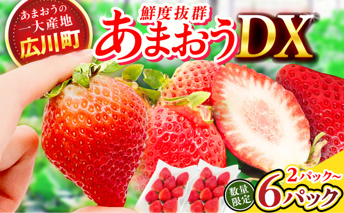 果物 あまおうDX等級 いちご イチゴ 苺 あまおう