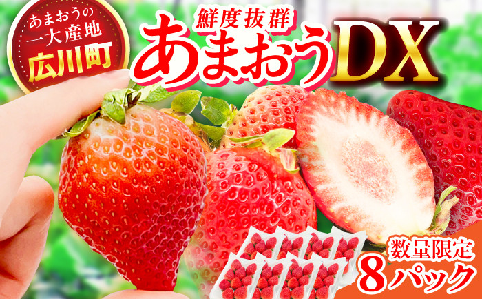 果物 あまおうDX等級 いちご イチゴ 苺 アマオウ