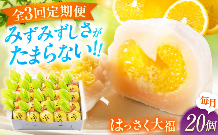 お菓子 はっさく大福