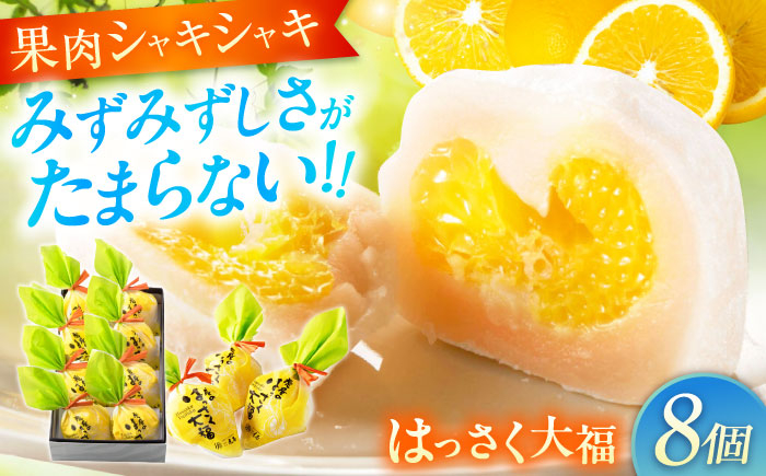 お菓子 はっさく大福