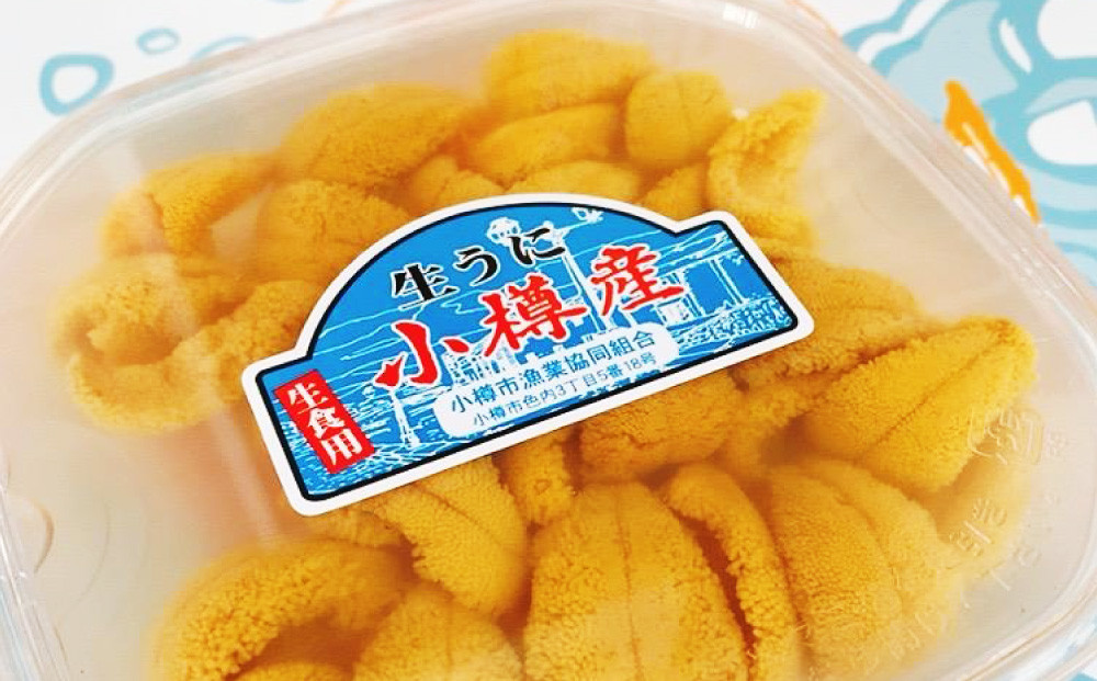 小樽産 ムラサキウニ （塩水生ウニ） 100g×2パック 合計200g