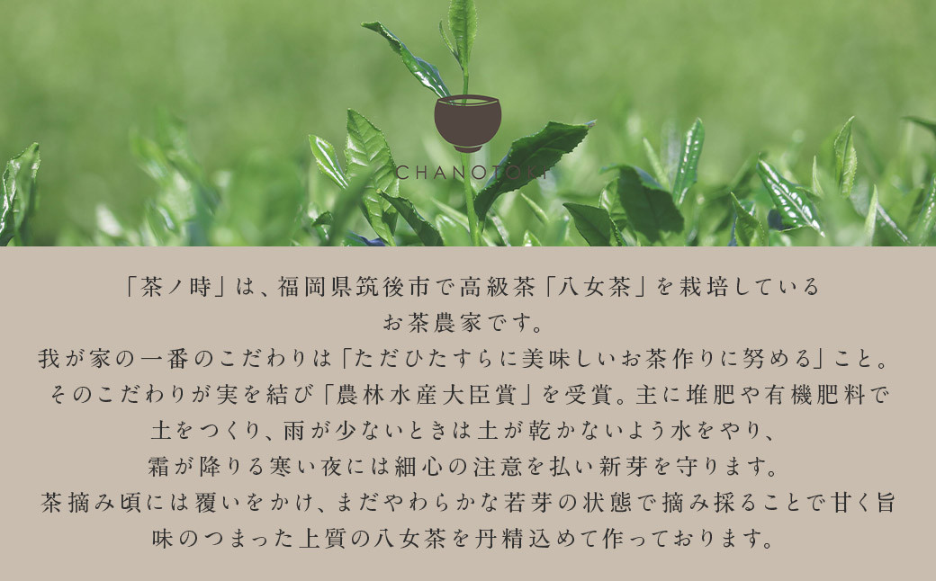  2026年度産 八女新茶飲み比べ 3品種セット「さえみどり、おくみどり、やぶきた」 