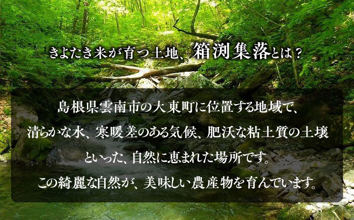 白米 コシヒカリ 小分け 便利 ごはん お弁当 お取り寄せ 一人暮らし おいしい