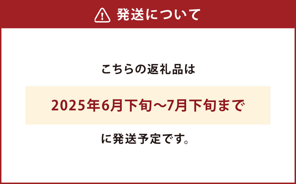 スイートコーン 約6kg前後 ( 13本～16本 ) とうもろこし